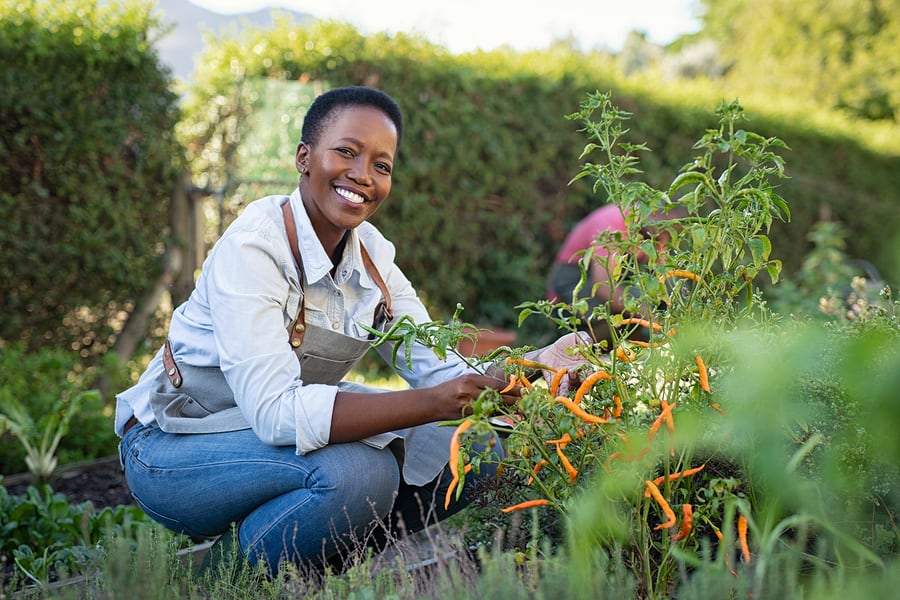 Horticultural therapy 6